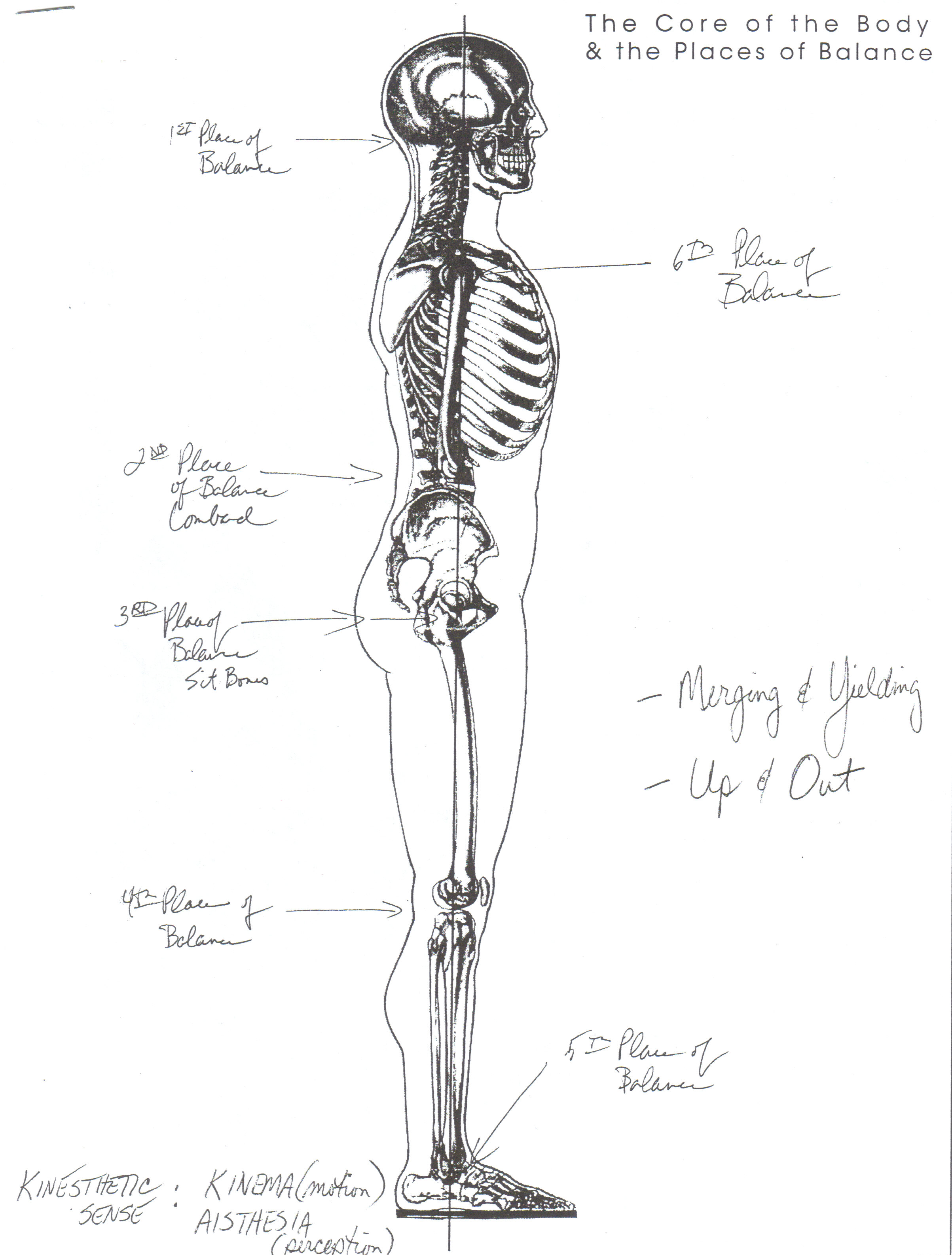 Body Alignment – George Corbett